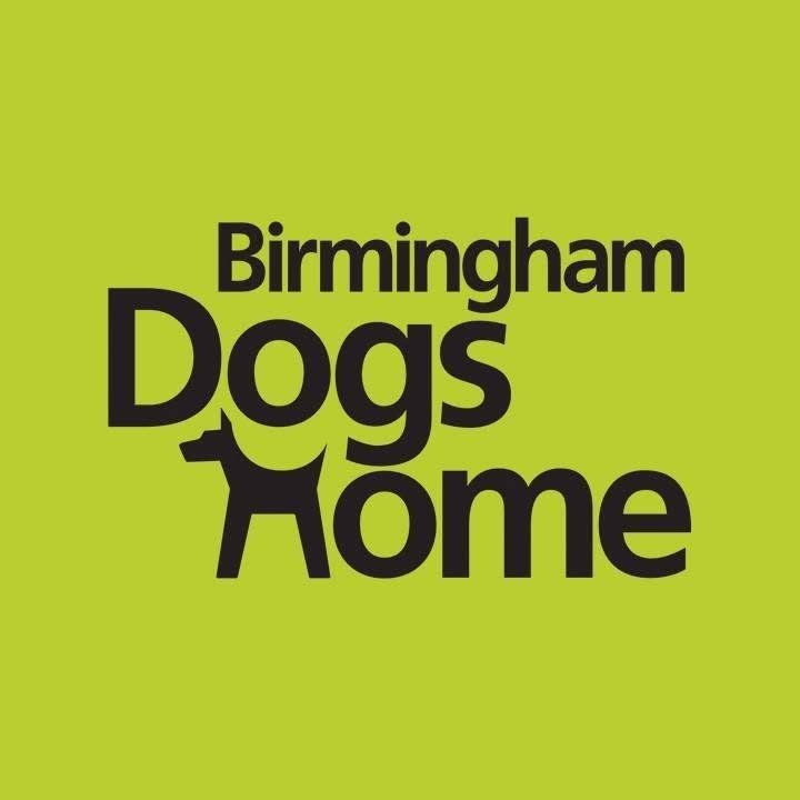 Birmingham Dogs Home - Royal Family Fun Day - Tudor Grange Park, Solihull, B91 3DN