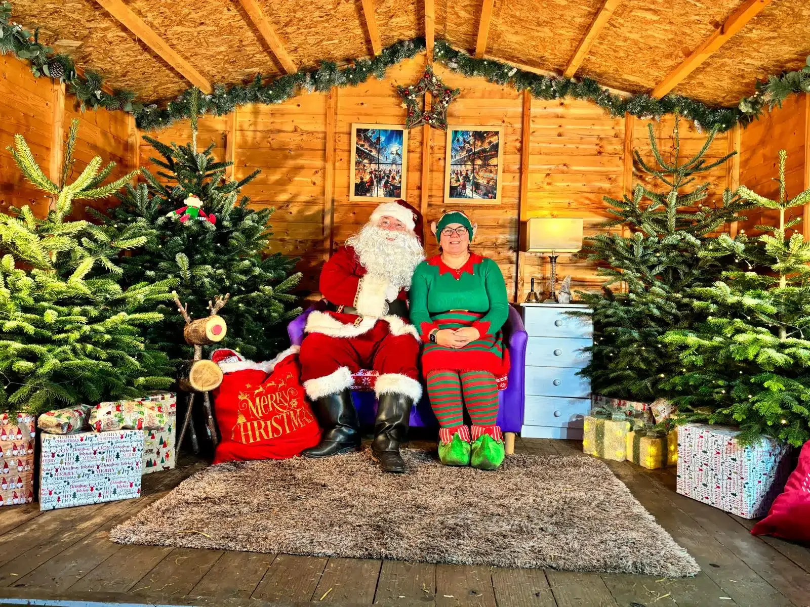 Birmingham Dogs Home - Wolverhampton Centre Santa Paws & Craft Fayre