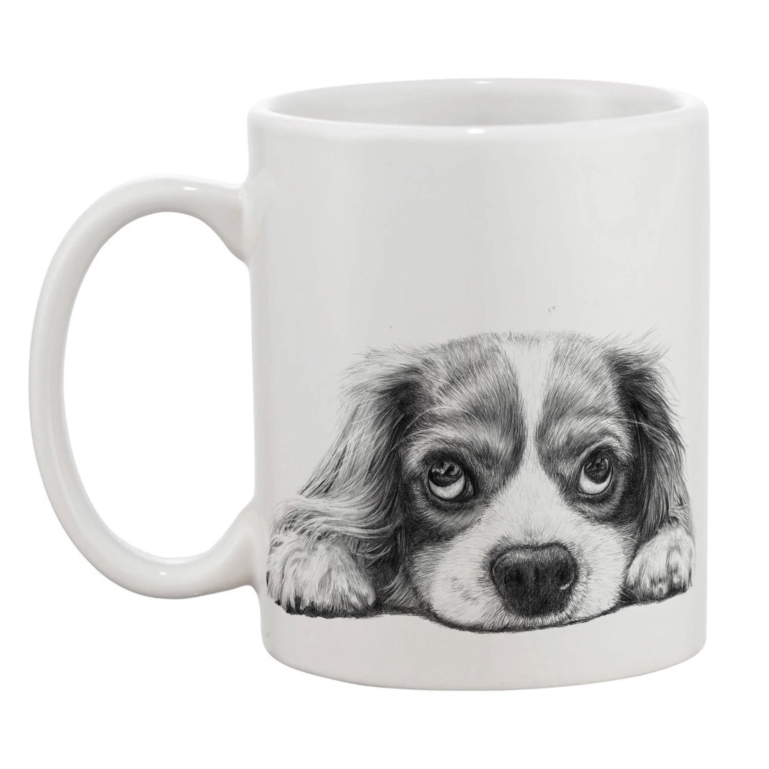 Cavalier King Charles left.jpg
