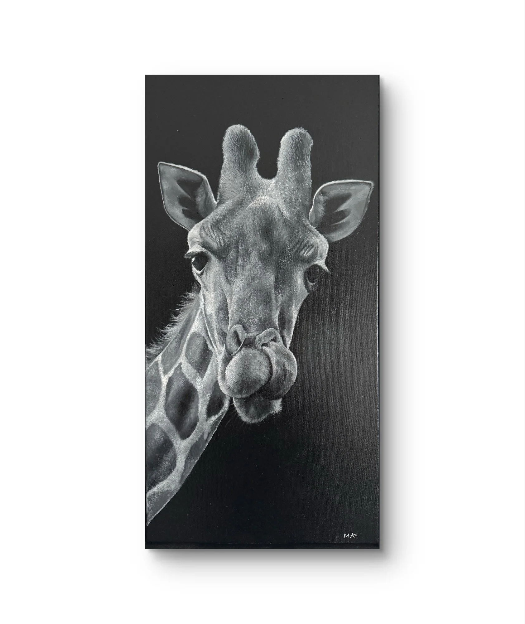 Unframed canvas print of a giraffe with its tongue out by artist Matt Lloyd
