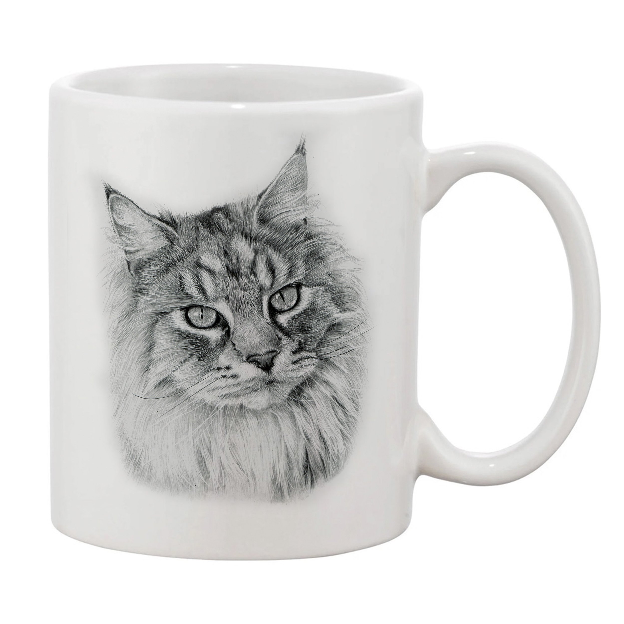 Maine Coon Right.jpg