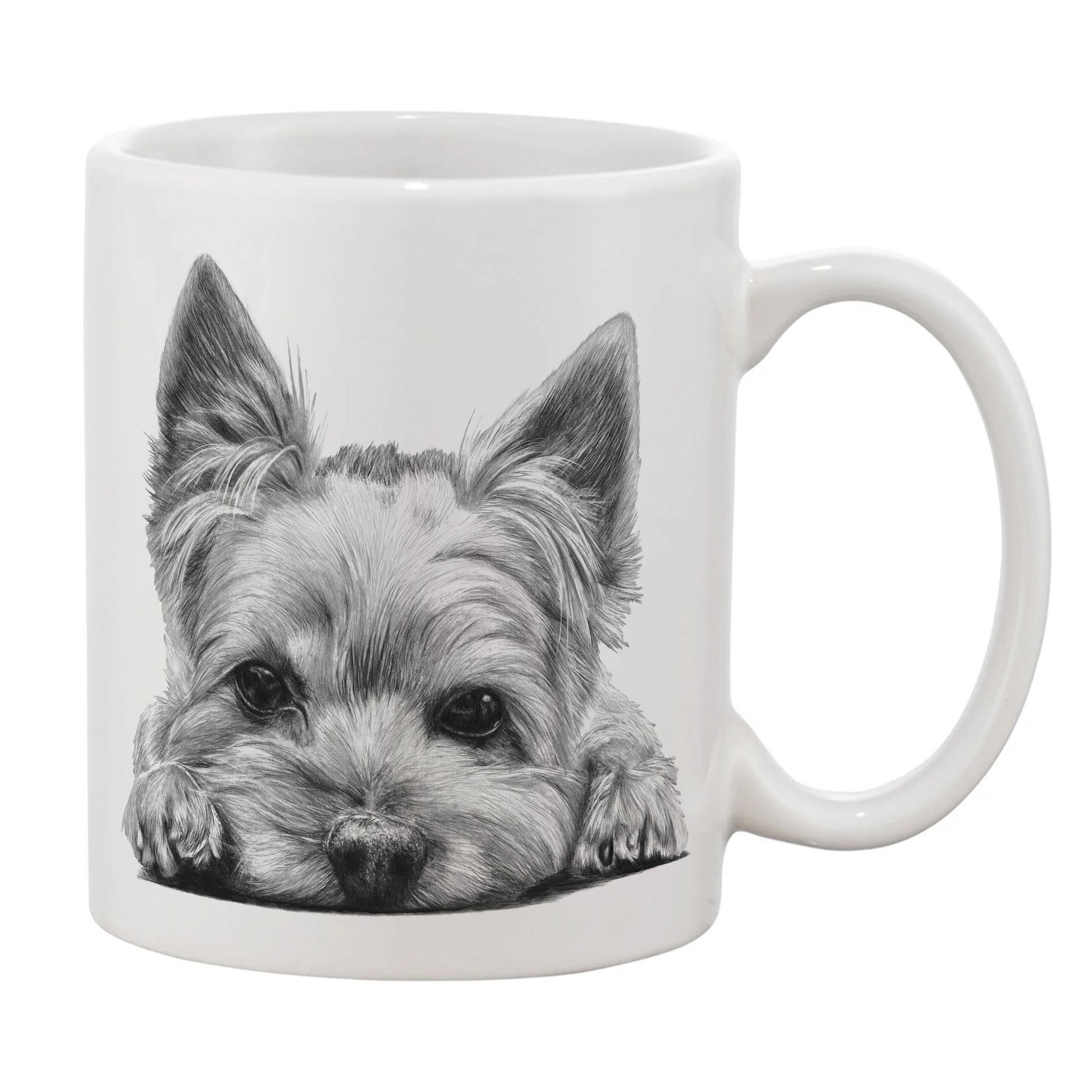 Yorkshire Terrier Right.jpg