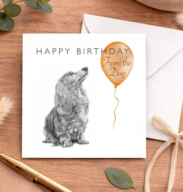 Dachshund long haired - "From the Dog" Birthday card
