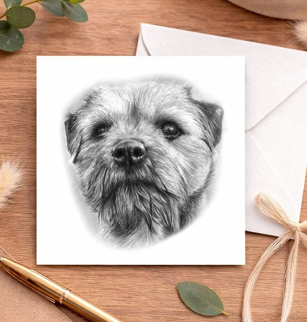 Border Terrier - Greeting card
