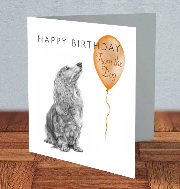 Dachshund long hair - "From the Dog" Birthday card