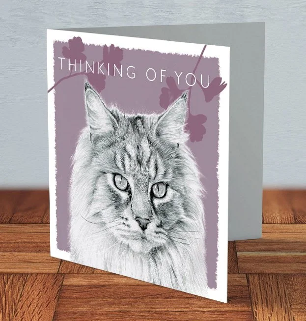 Thinking of You card featuring a hand-drawn portrait of a Maine Coon cat by UK artist Matthew Lloyd on the front, showcasing the cat’s long fur, tufted ears, and gentle expression.