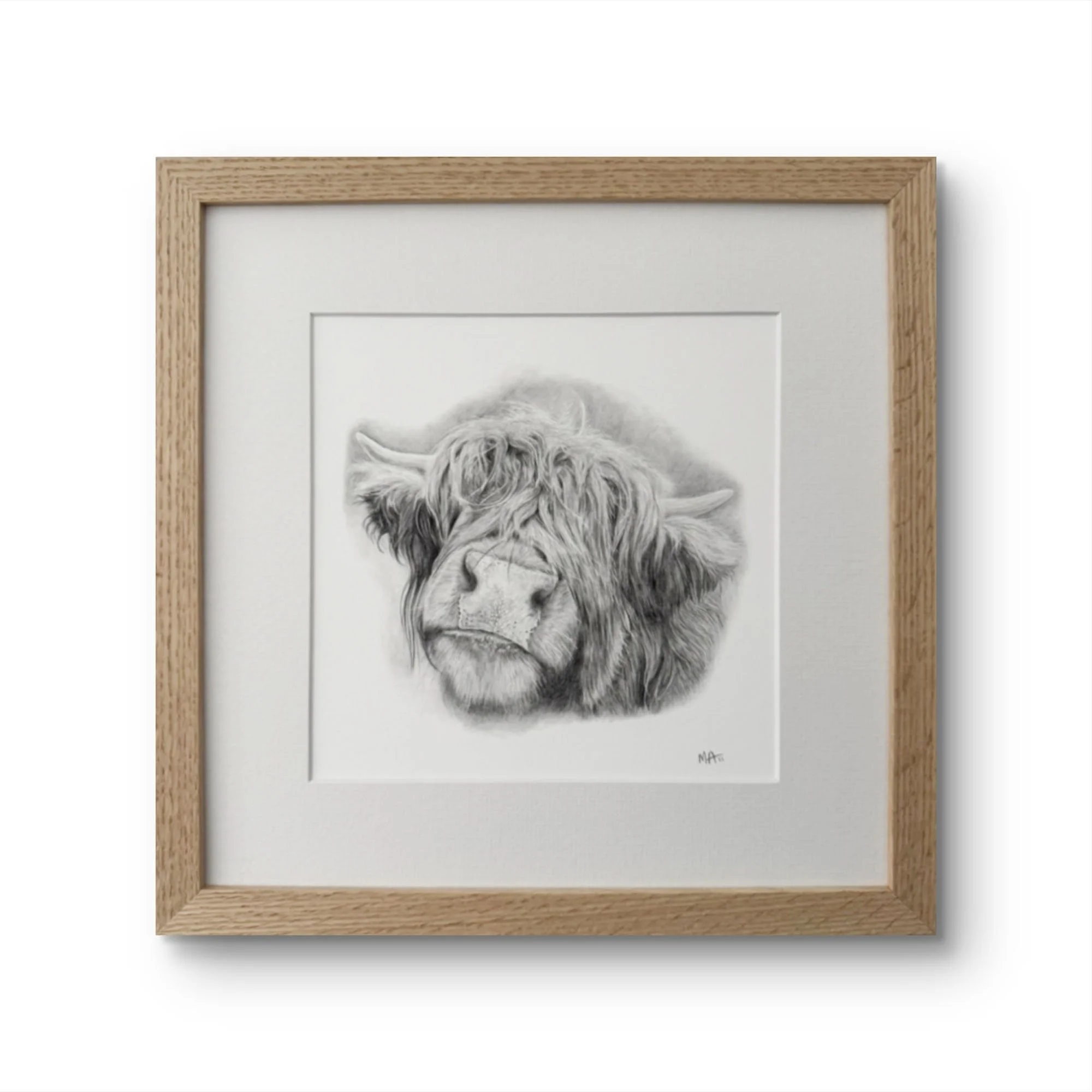 Highland Cow Art Print