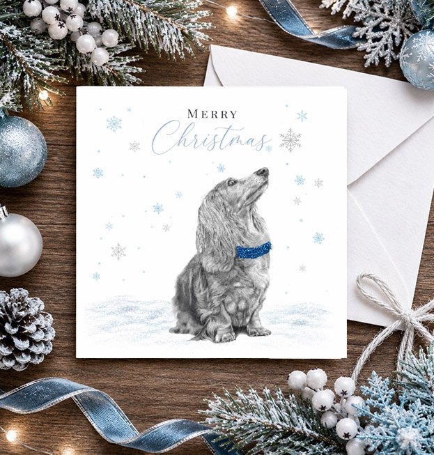 Dachshund Long Haired - Christmas card