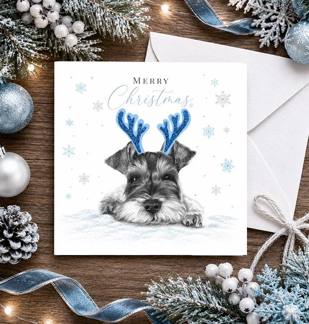 Schnauzer - Christmas card