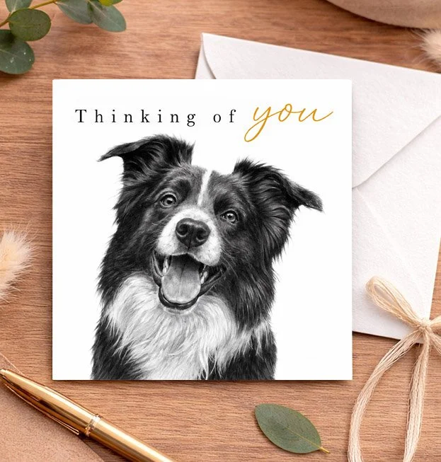 Front of Border Collie thinking of you card featuring original dog artwork