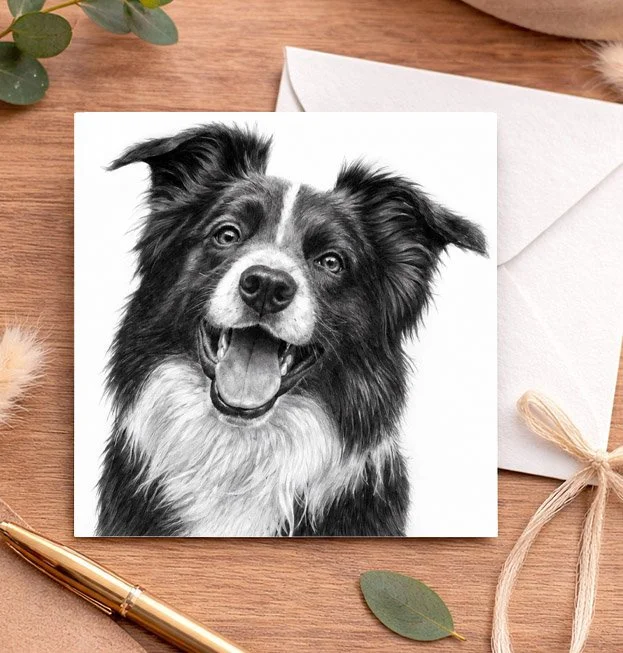 Front of blank Border Collie greeting card featuring original dog artwork by Matt Lloyd