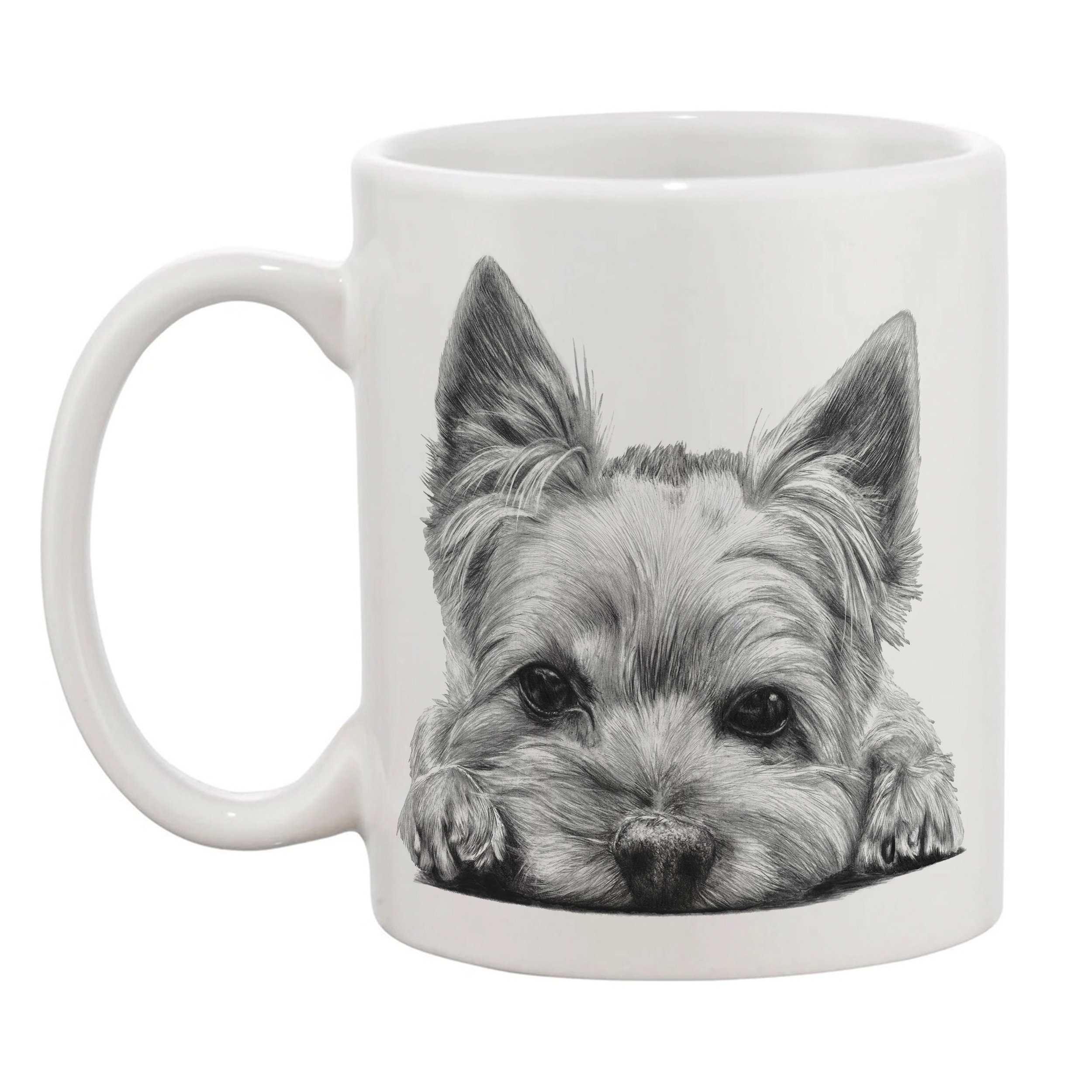 Yorkshire Terrier left.jpg