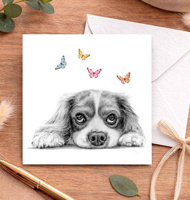 Cavalier King Charles Spaniel - Greeting Card (15x15cm)