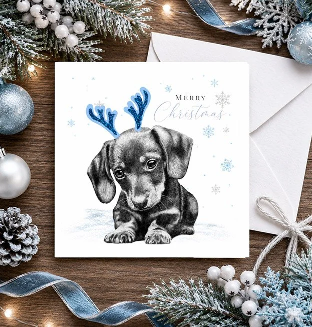 Dachshund - Christmas card