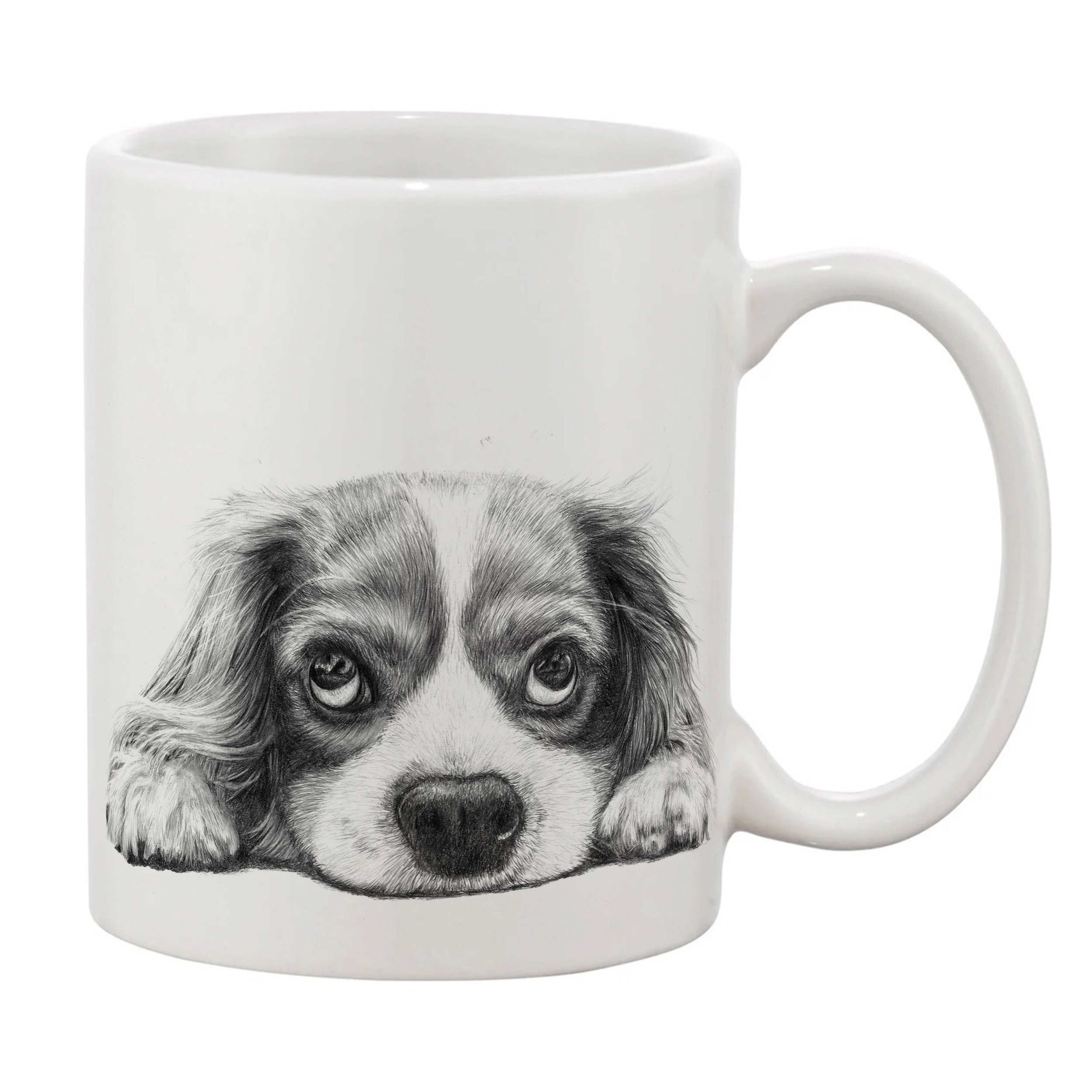 Cavalier King Charles Right.jpg