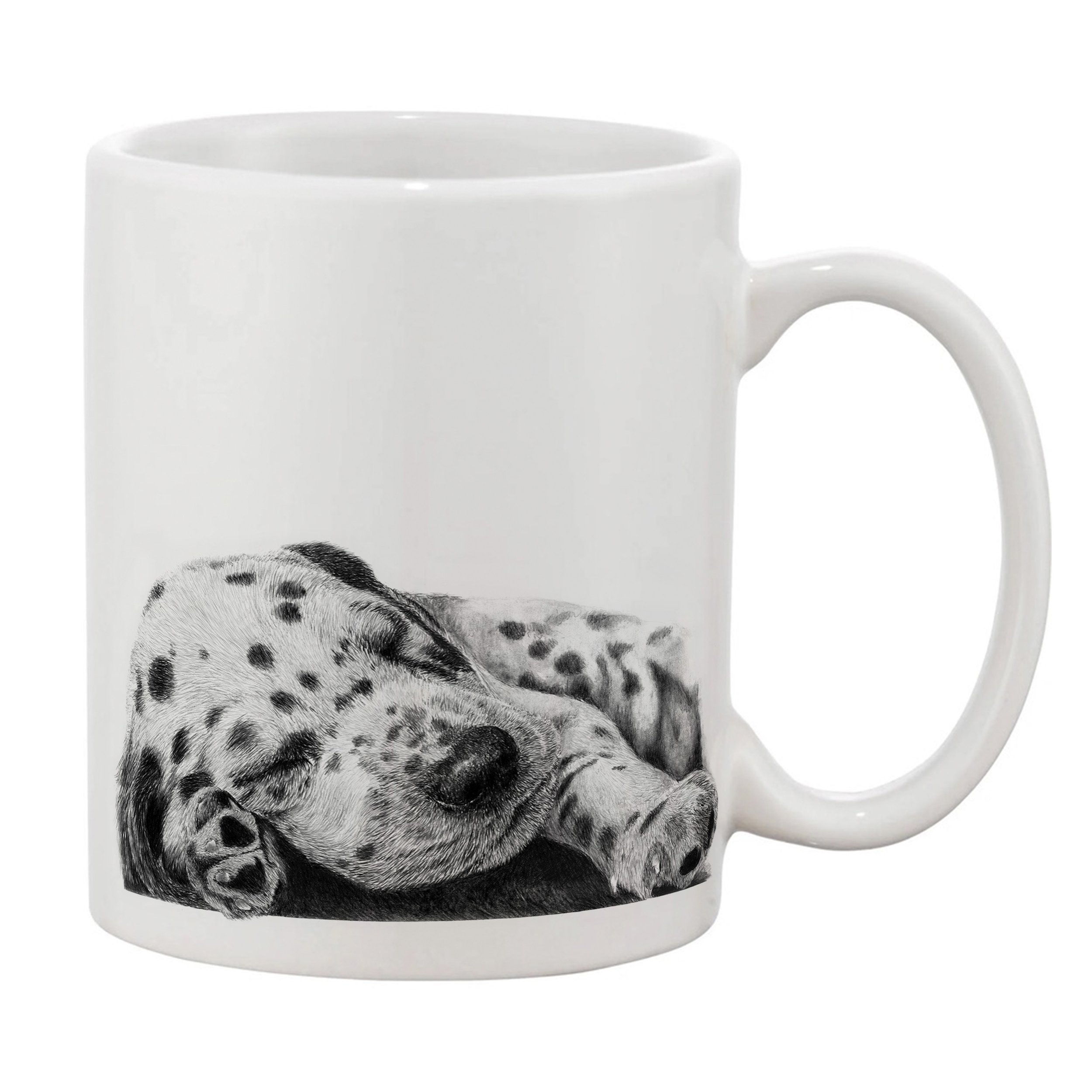 Dalmatian sleep rightt.jpg