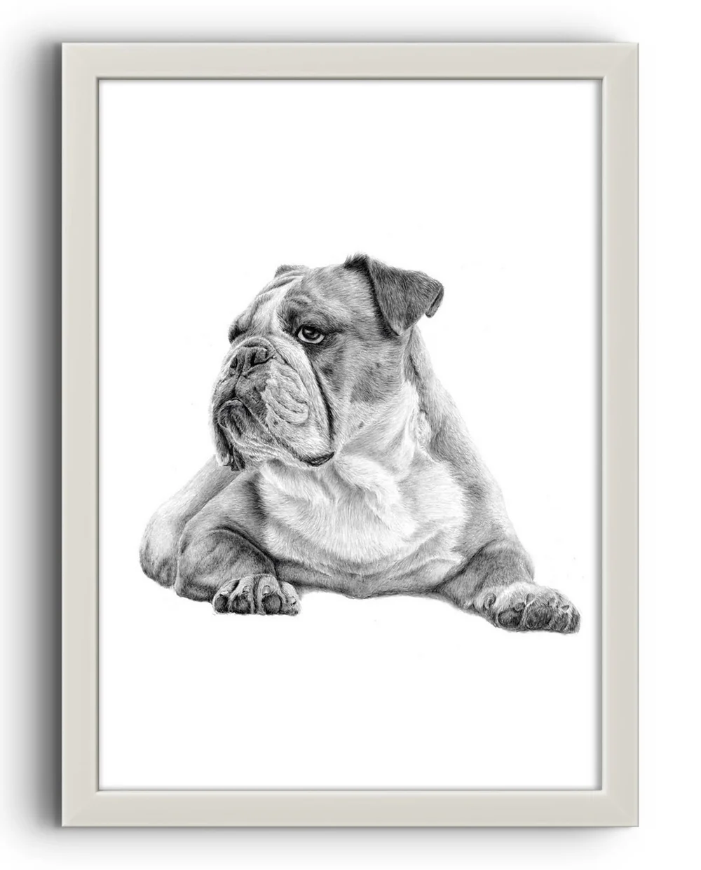 example of a British Bulldog graphite pencil portrait in a white framed dog portrait