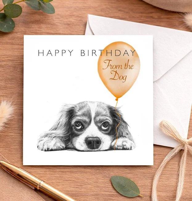 Cavalier King Charles Spaniel - "From the Dog" Birthday card