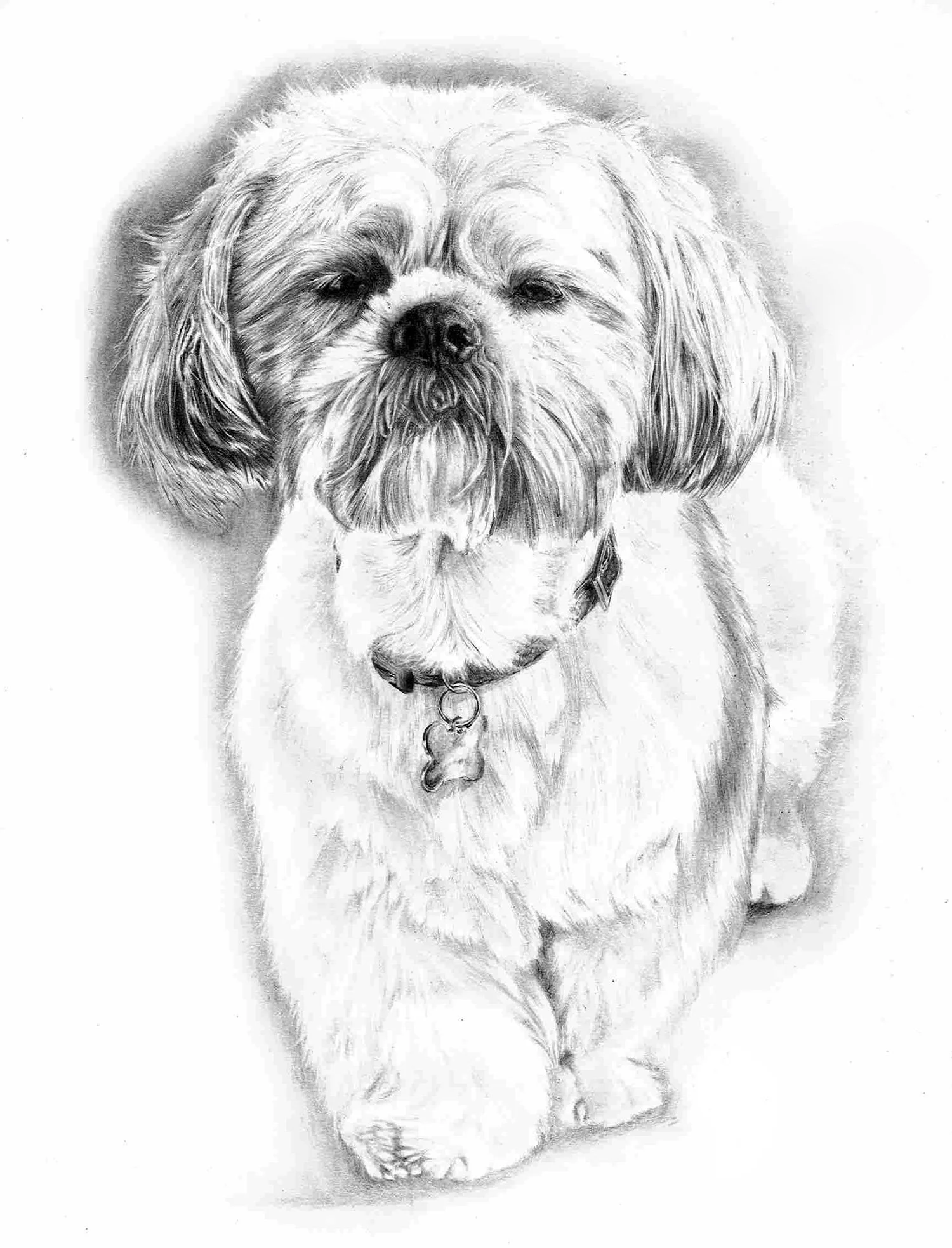 Pet portrait artwork