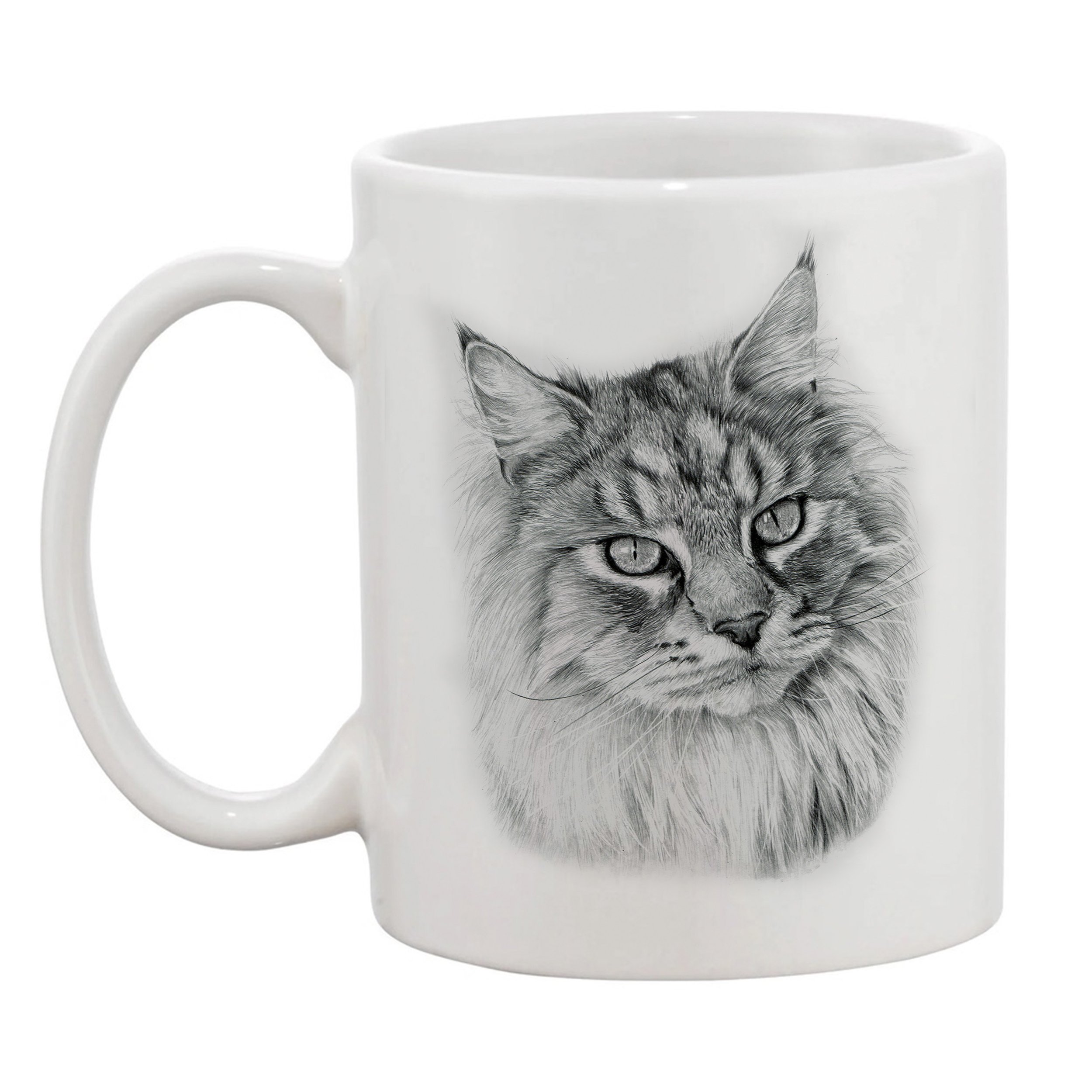 Maine Coon left.jpg