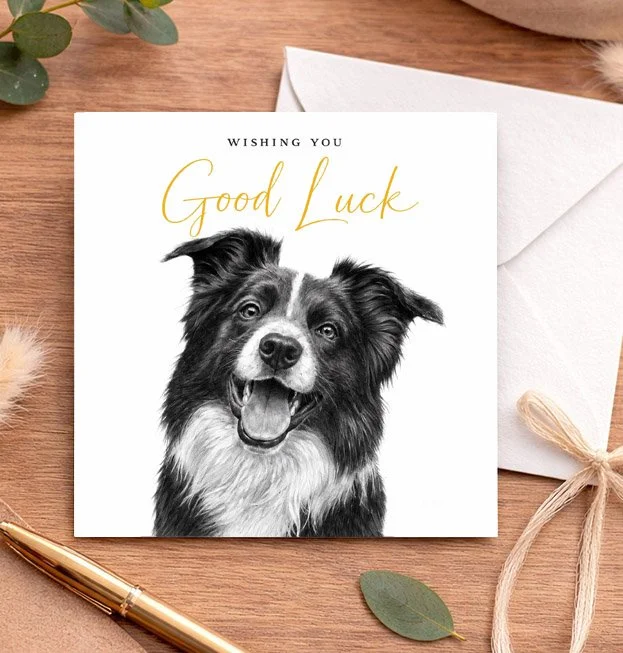 Border Collie - Good Luck card (15x15cm)