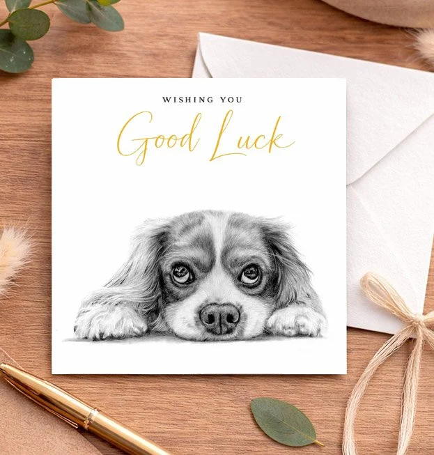 Cavalier King Charles Spaniel - Good Luck card (15x15cm)