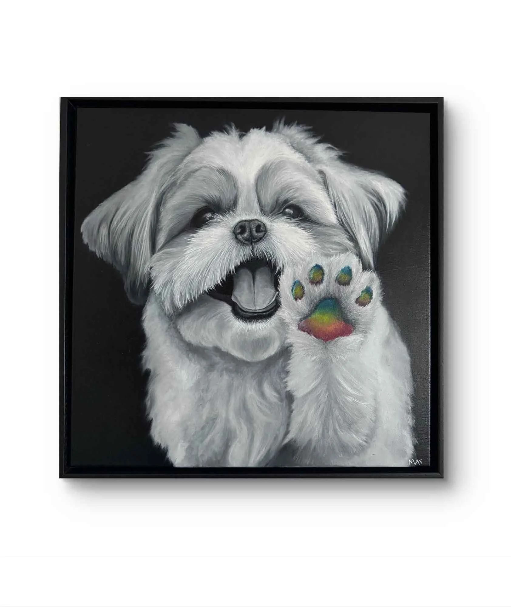 Original black-and-white Shih Tzu painting with a colourful rainbow paw by UK animal artist Matthew Lloyd.