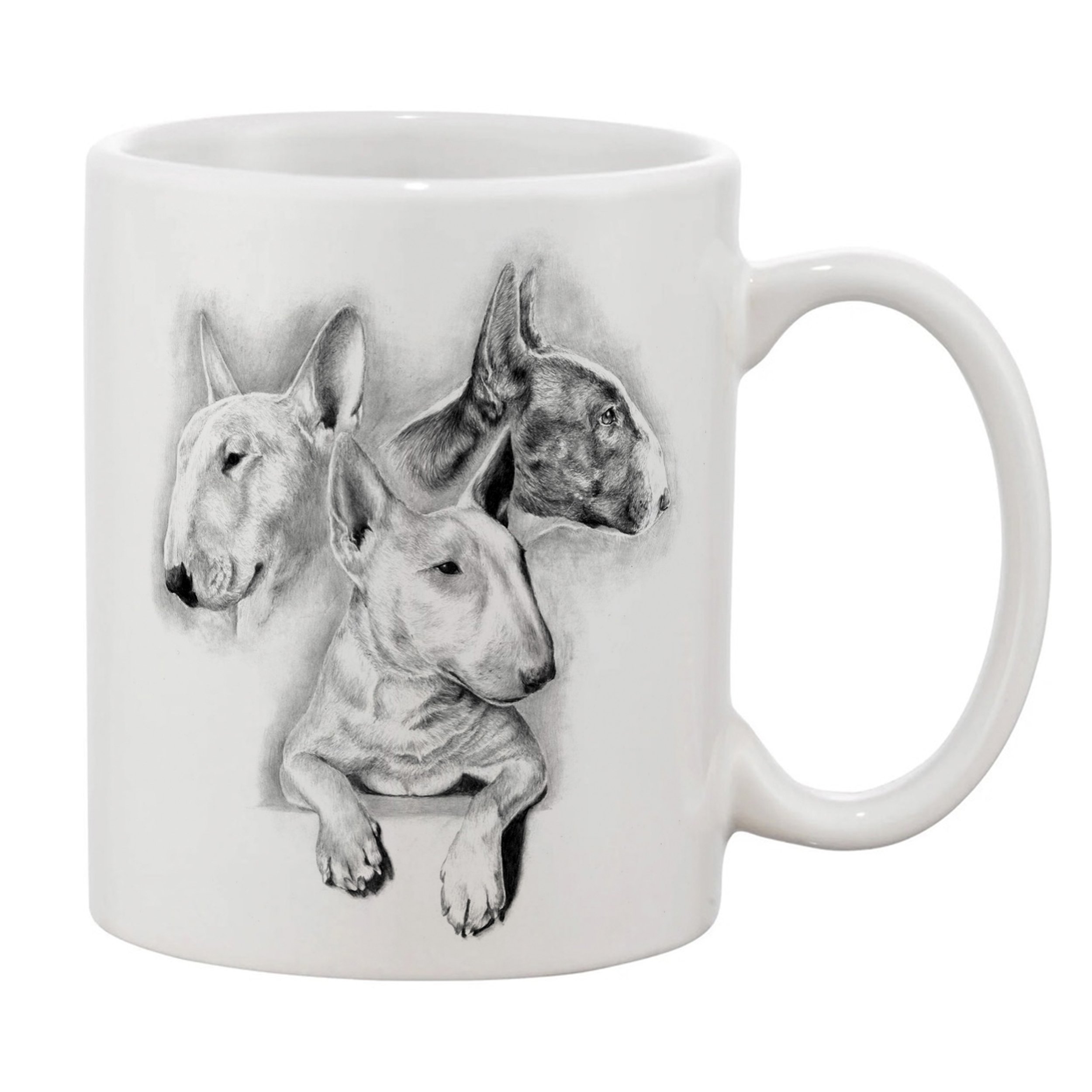 English Bull Terrier Right.jpg