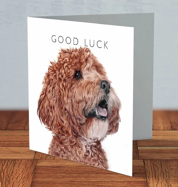 Cockapoo - Good luck card