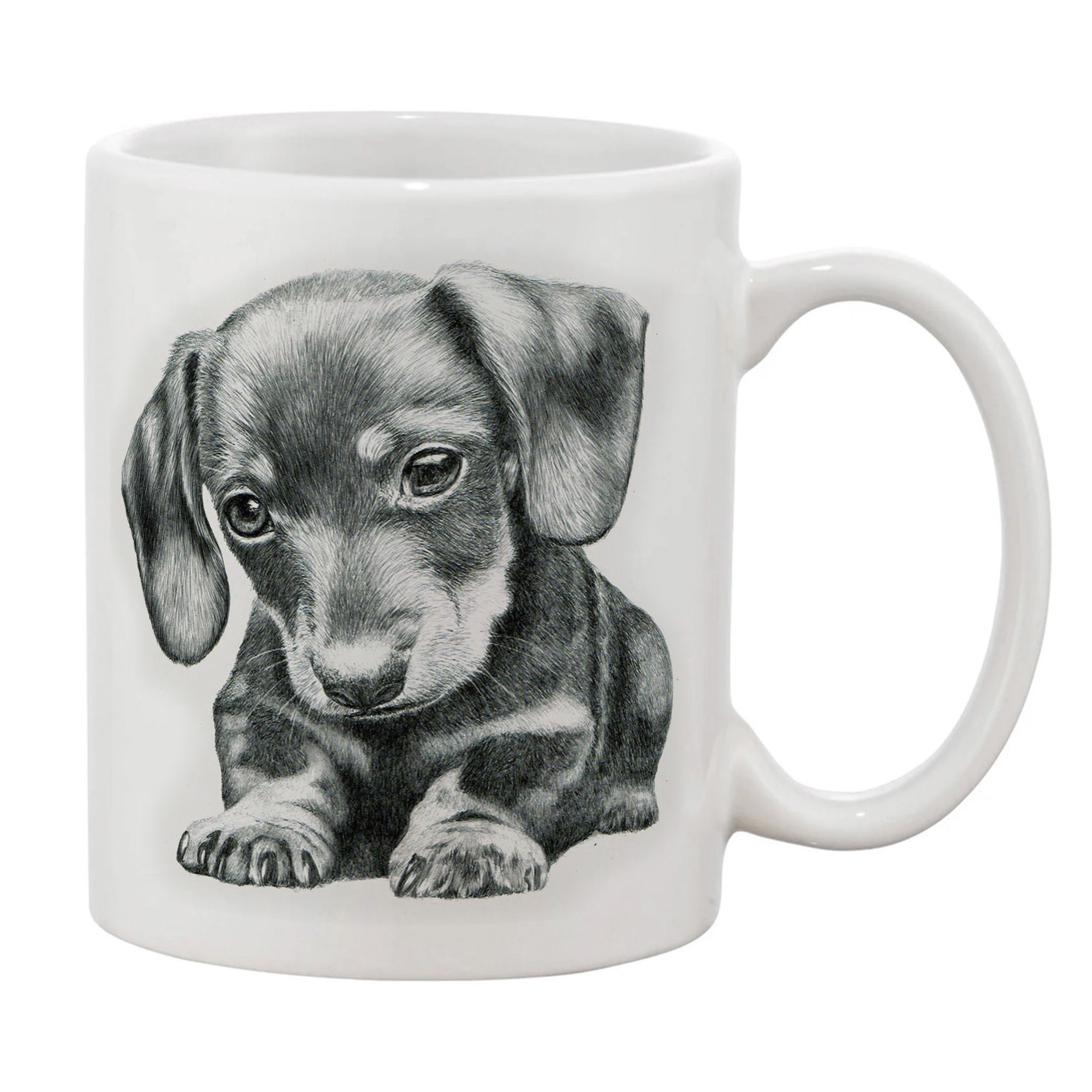 Dachshund right.jpg