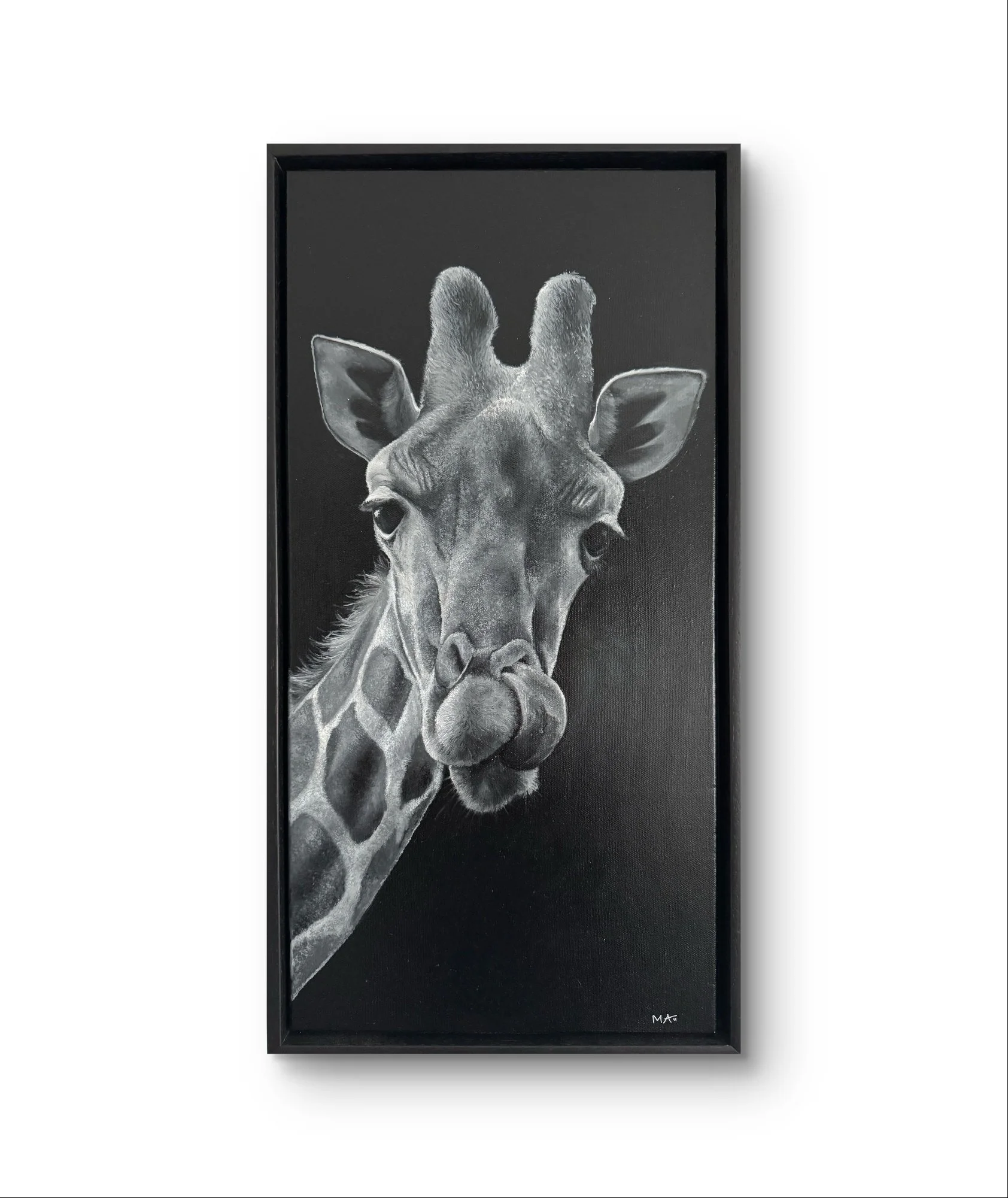 Original black and white giraffe oil painting with rainbow detail. “Lick” by Matt Lloyd, 25x13" framed—celebrating the colour animals bring to life.