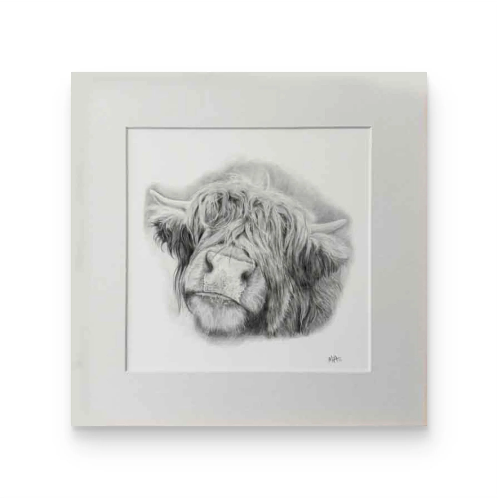 Highland cow mounted print.jpg