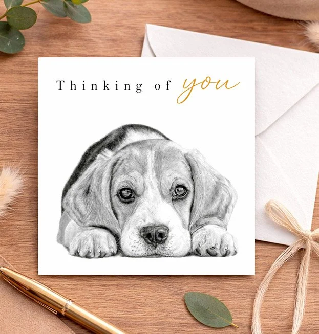Beagle thinking of you card featuring original dog artwork by UK artist Matthew Lloyd on a luxury square greeting card.