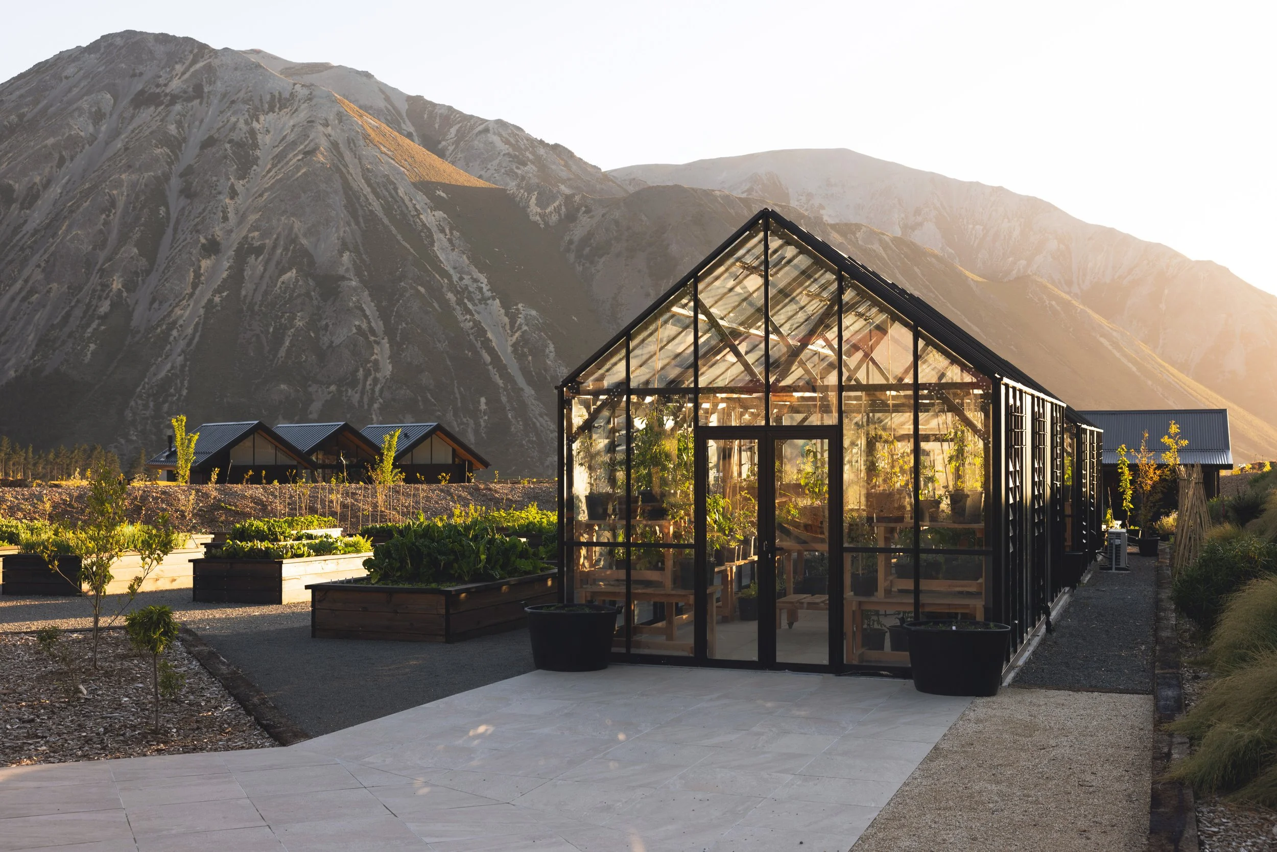 Greenhouse_LisaSun.jpg