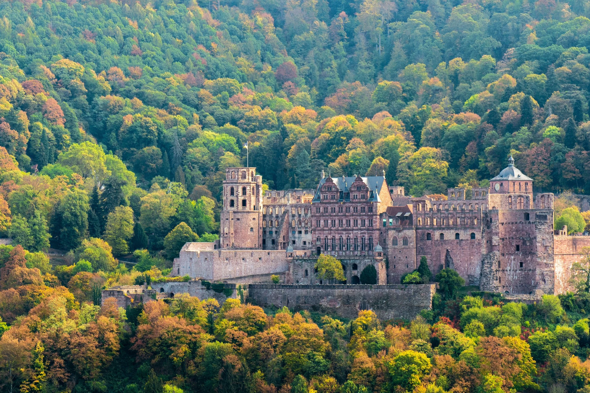 chiemseherin-heidelberg-4603040.jpg