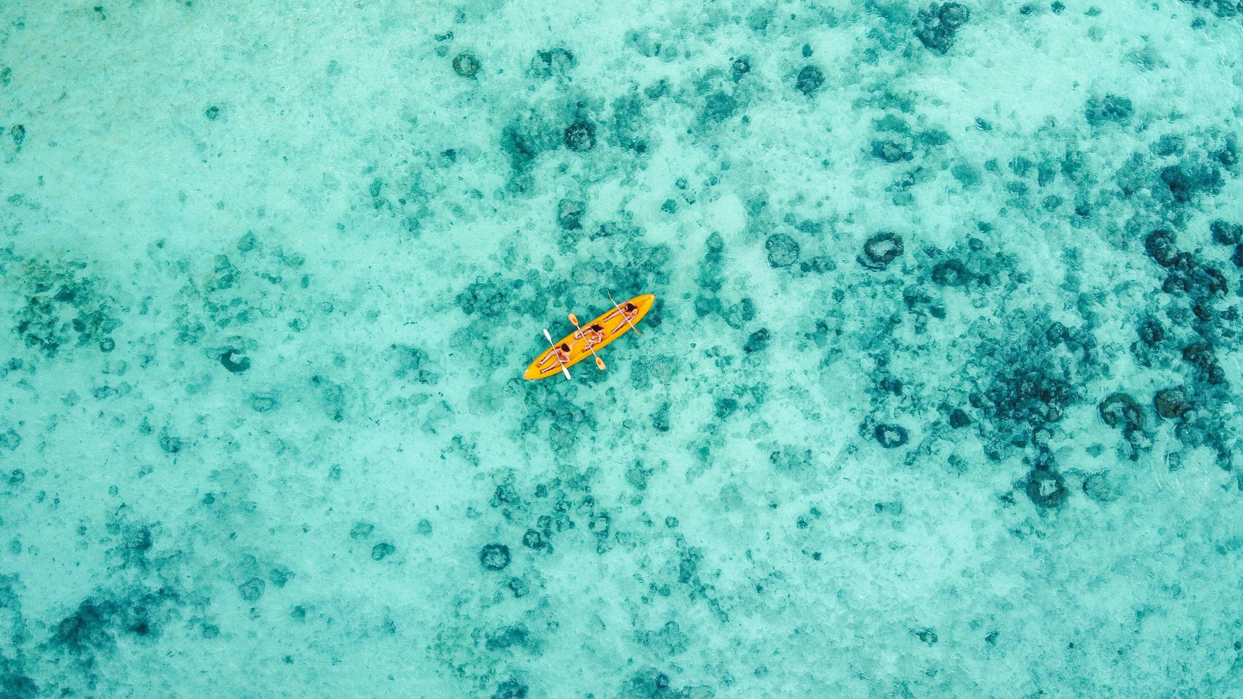 An overhead view of three people in a yellow kayak paddling on clear turquoise ocean water with visible coral formations underneath.