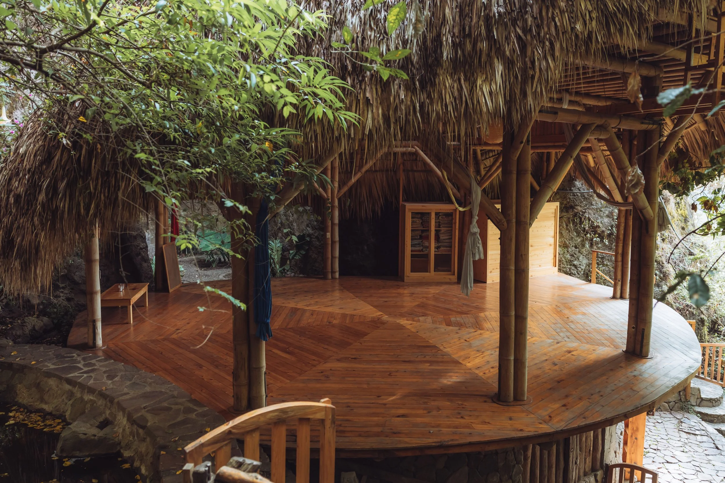 Wooden treehouse with thatched roof surrounded by trees, with a curved wooden deck and bamboo supports.