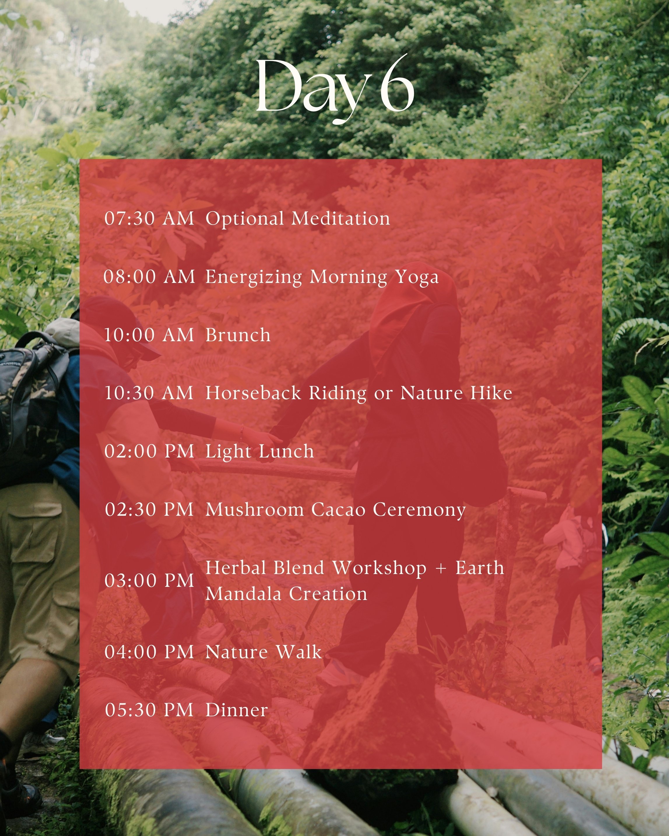 Schedule of activities for Day 6 overlaid on a background of people walking on logs in a forest trail.
