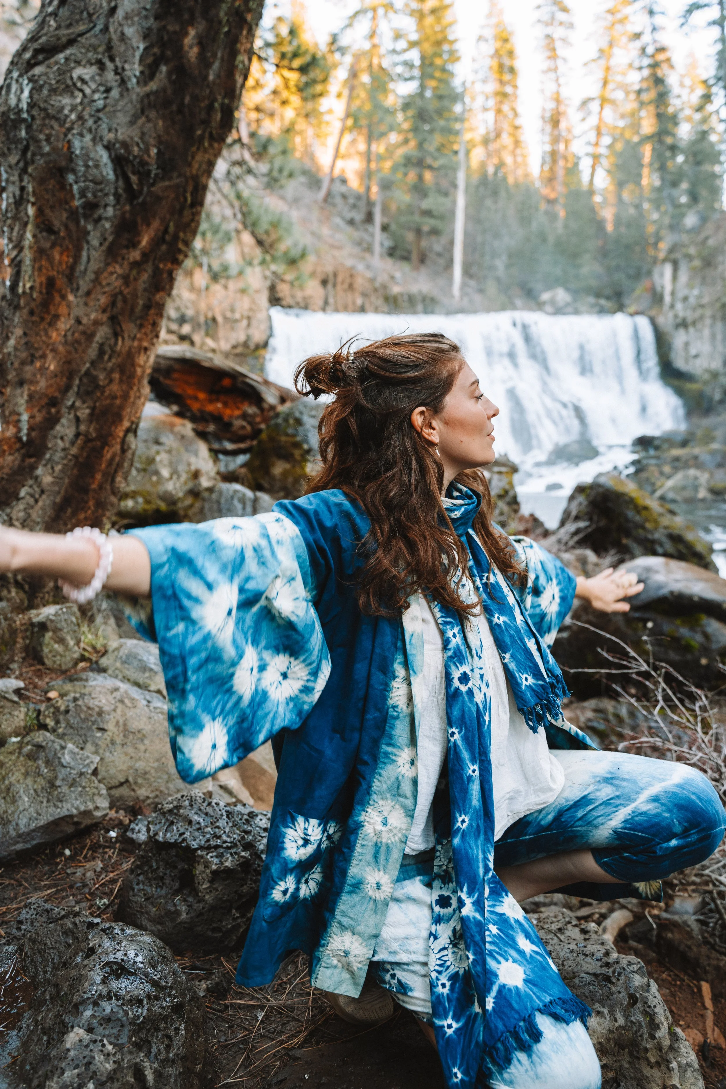 Mount Shasta Waterfall