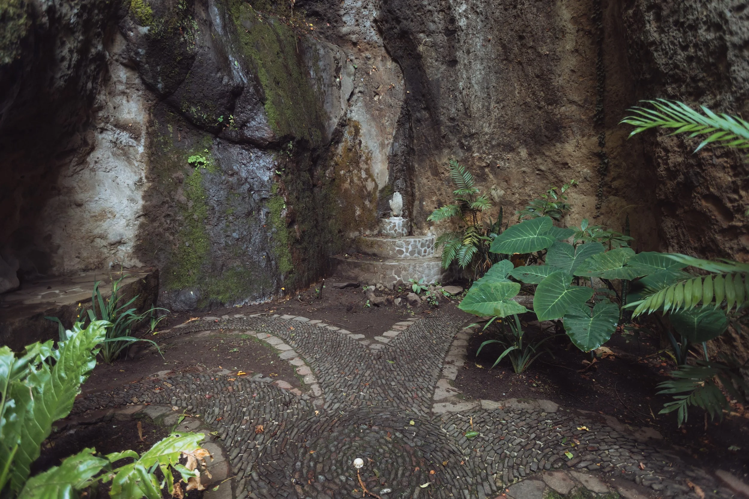 A secluded garden with a stone pathway leading to stone steps, surrounded by lush green plants and moss-covered rocks inside a rocky cave or grotto.