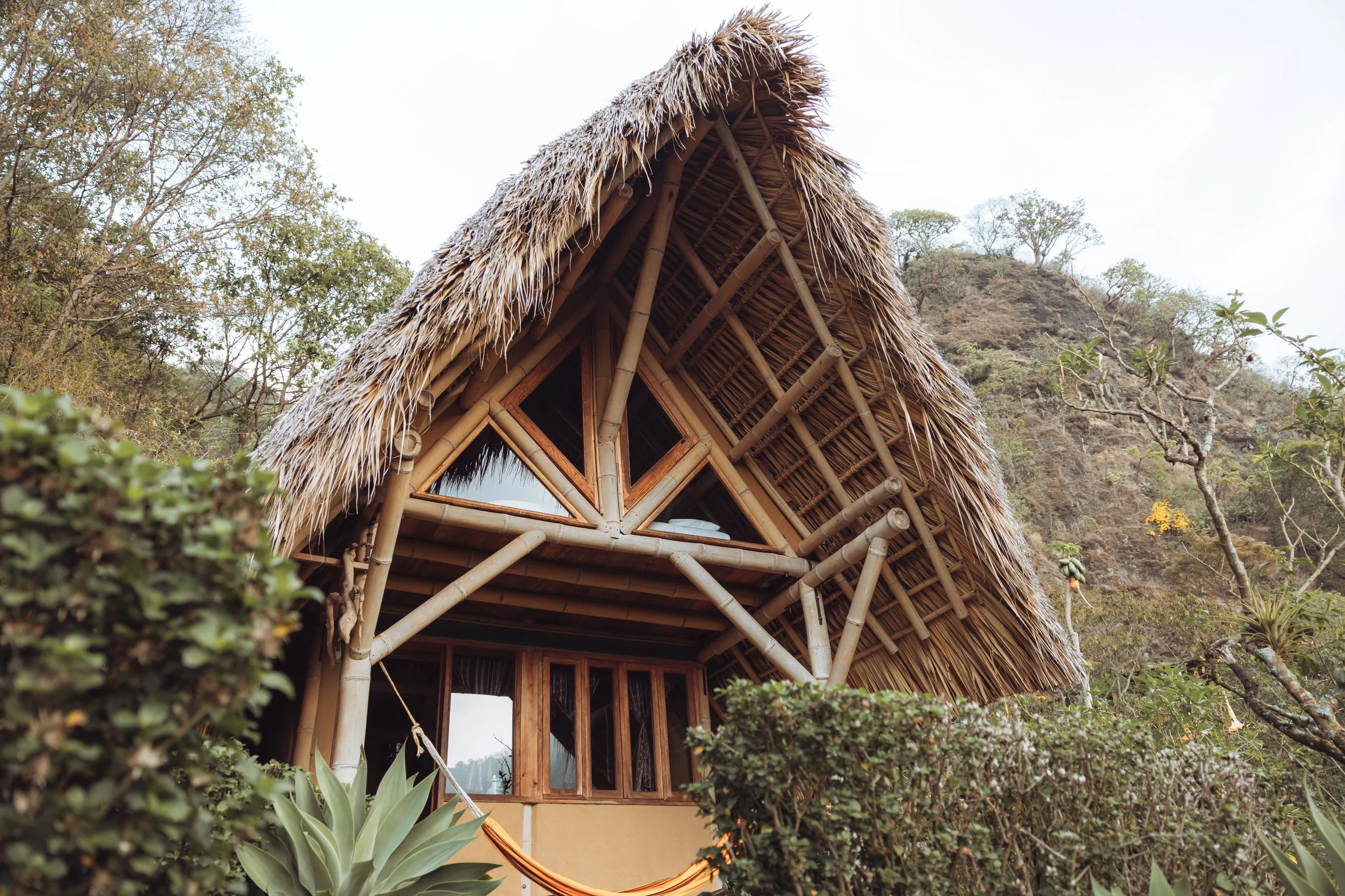 A bamboo and thatch-roof house built into a hillside, surrounded by trees and bushes.