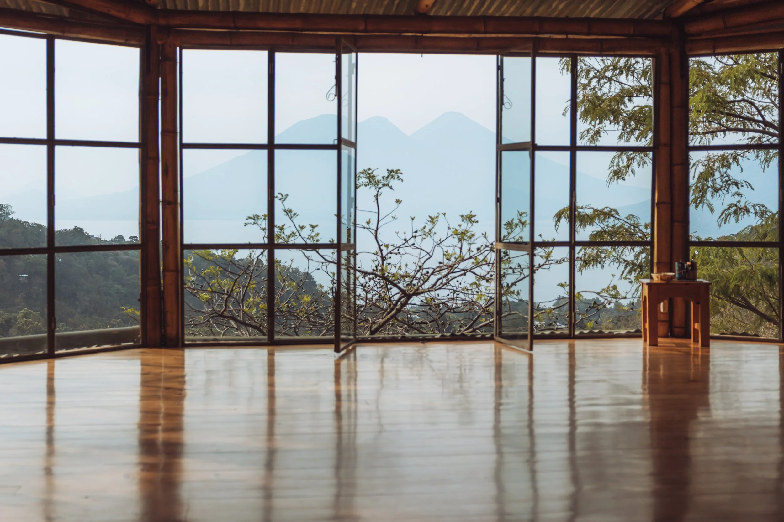 An empty room with wooden flooring and large windows showing a mountain and tree view outside.