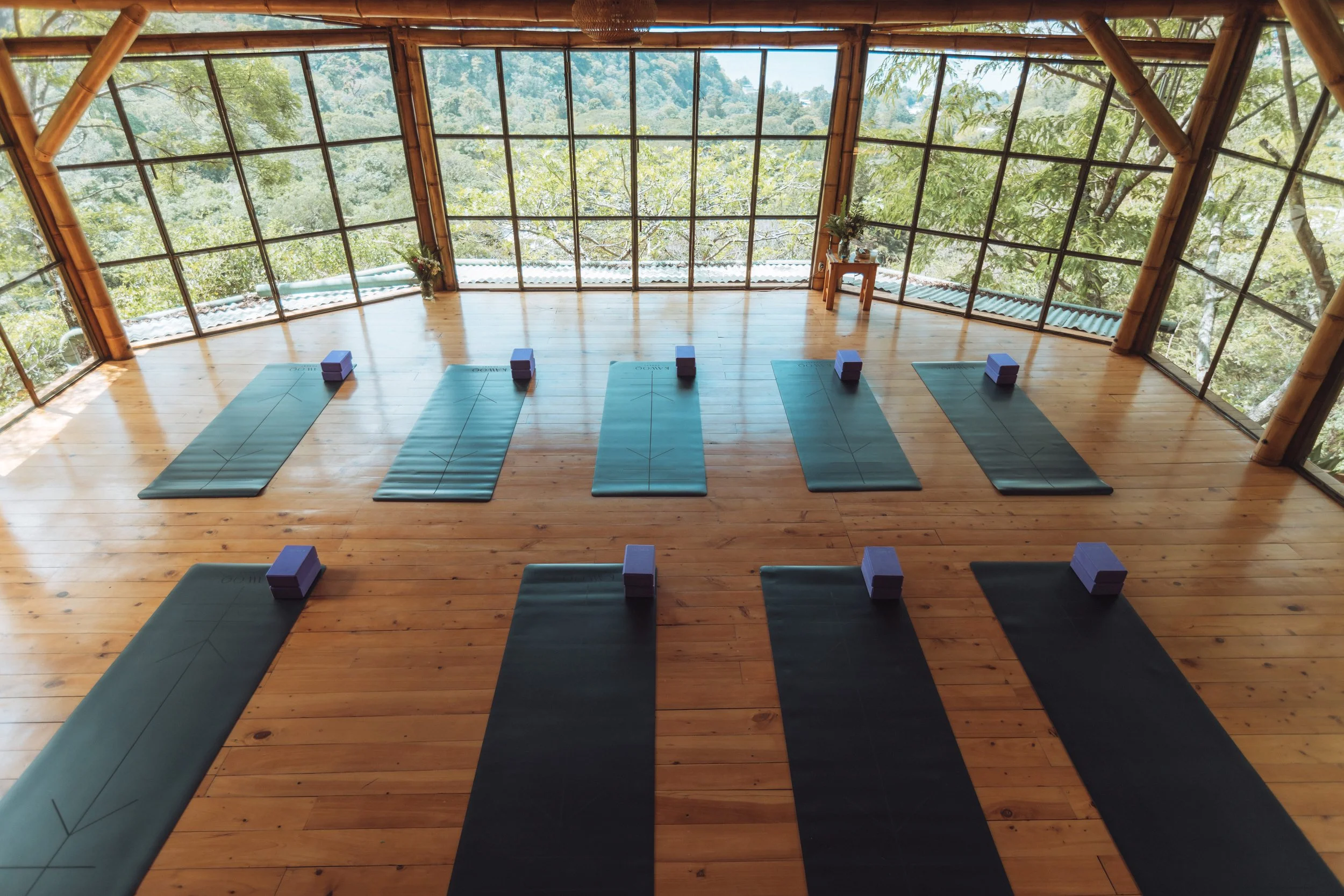 Yoga mats and blocks set up in a spacious yoga studio with wooden floors and large glass windows showing a lush green forest outside.