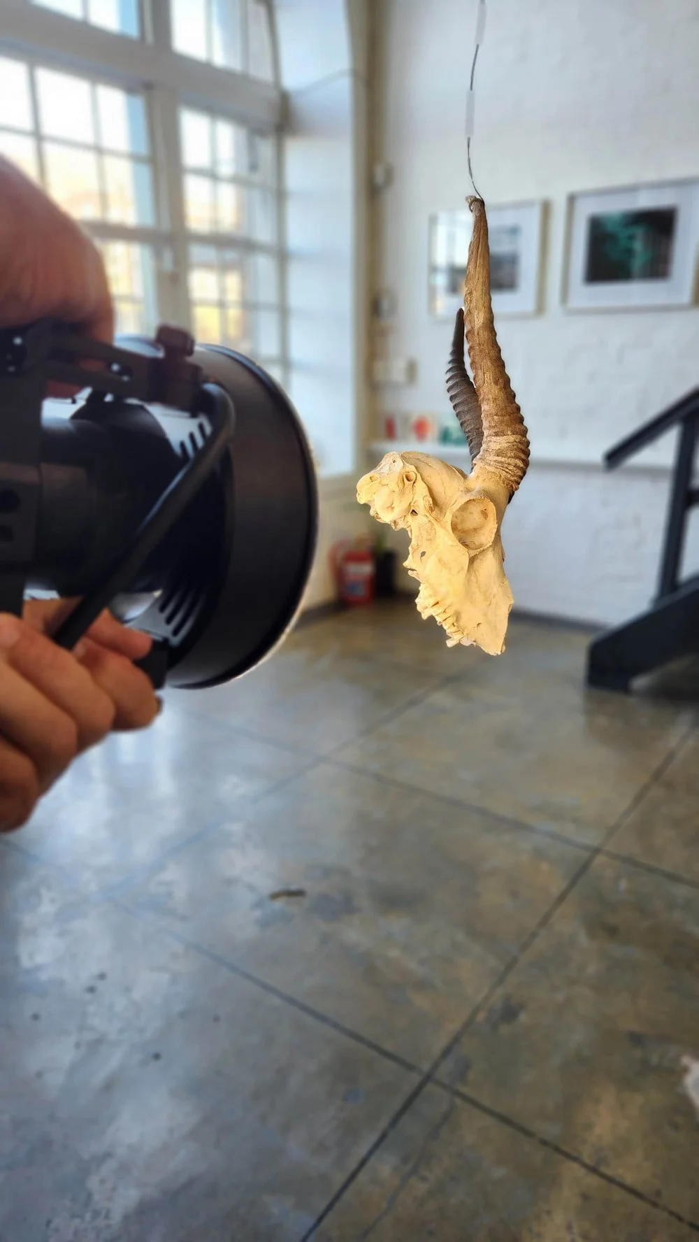 20230622_085439_compressed (1).jpg