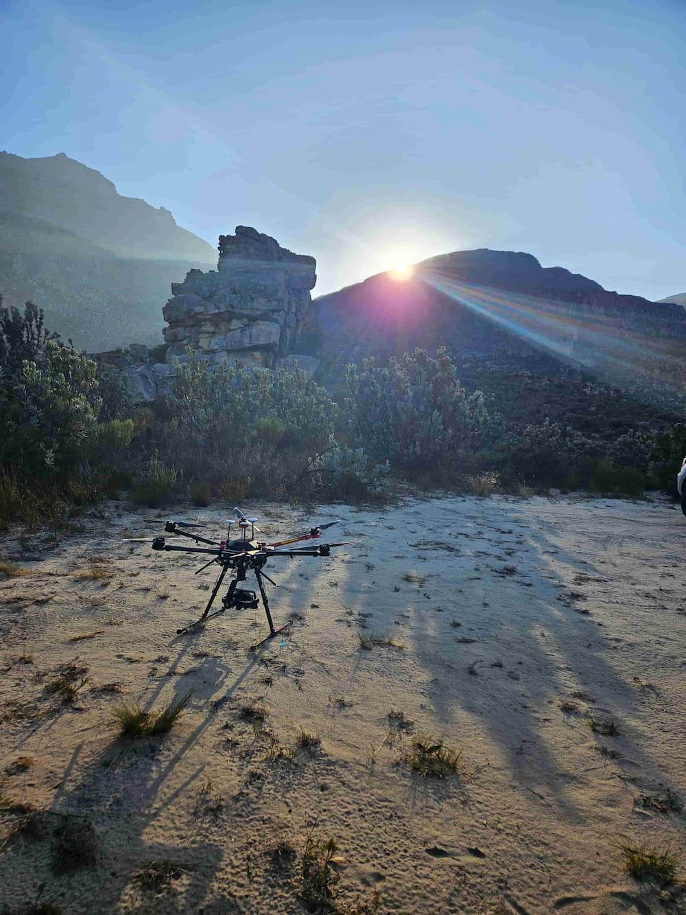 20240206_071016_compressed (1).jpg