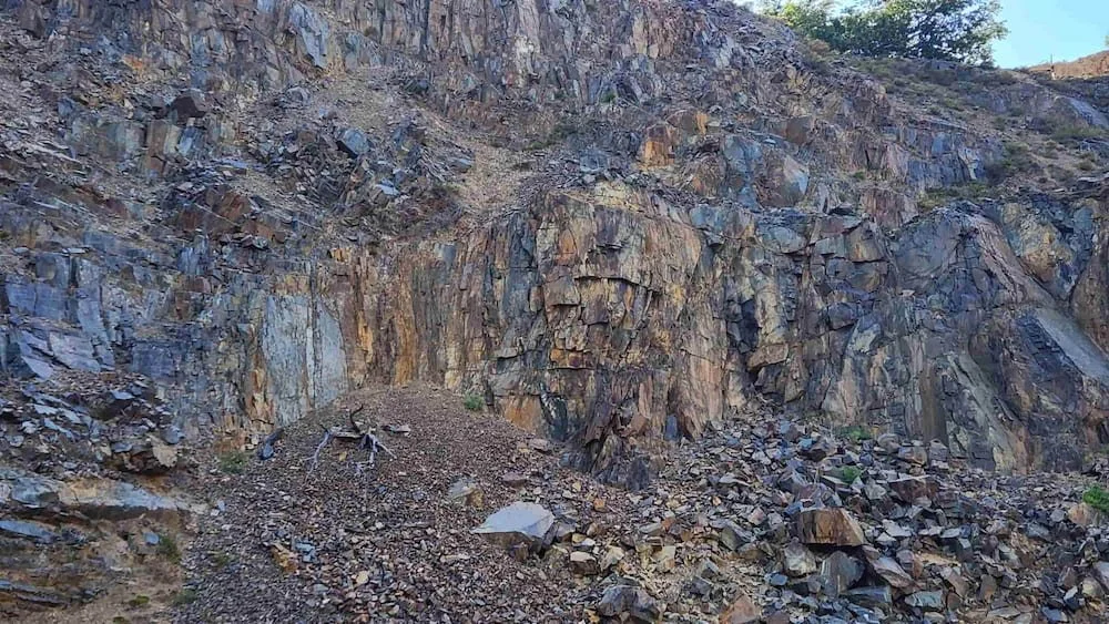 20230113_075831_compressed (1).jpg