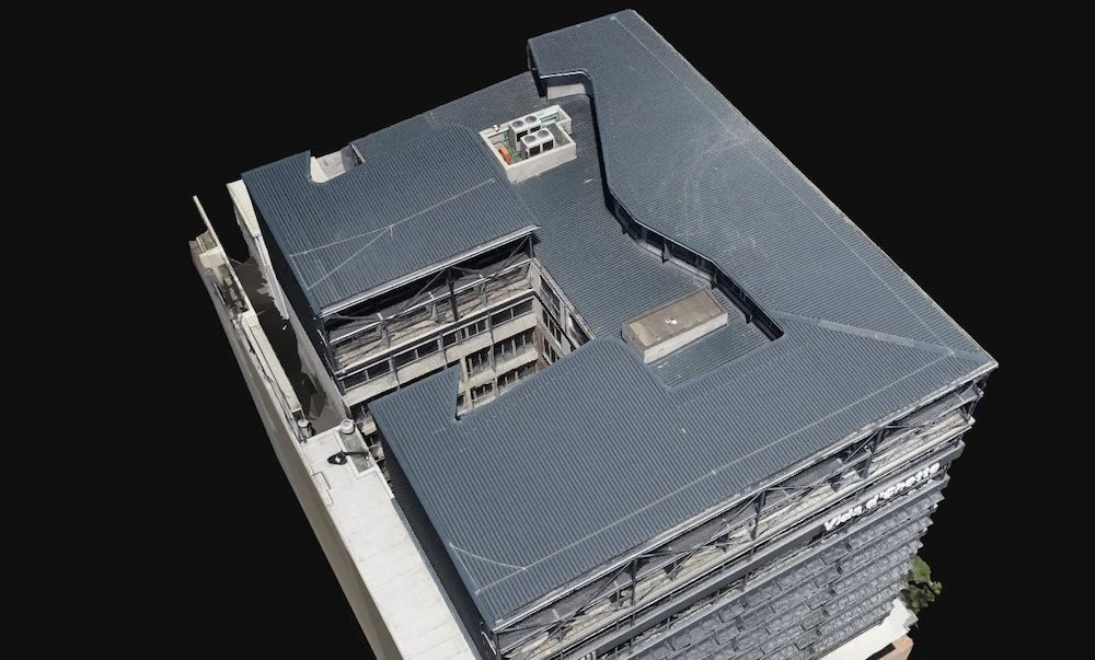 Homii+7_compressed (1).jpg