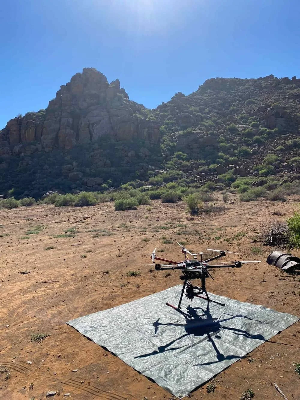 IMG_1043_compressed (1).jpg