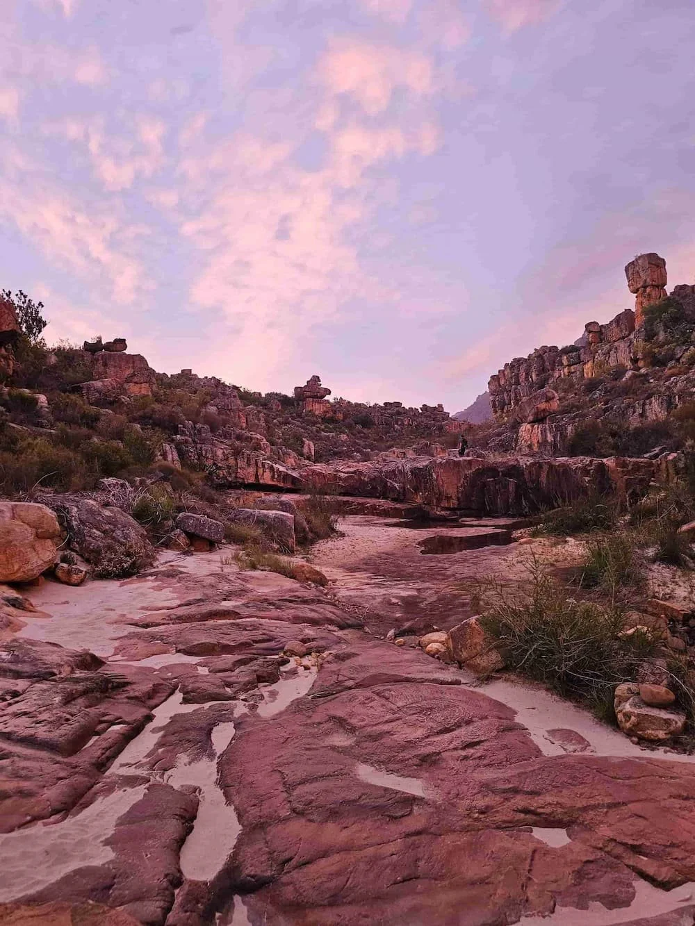 Full Environment Breakdown