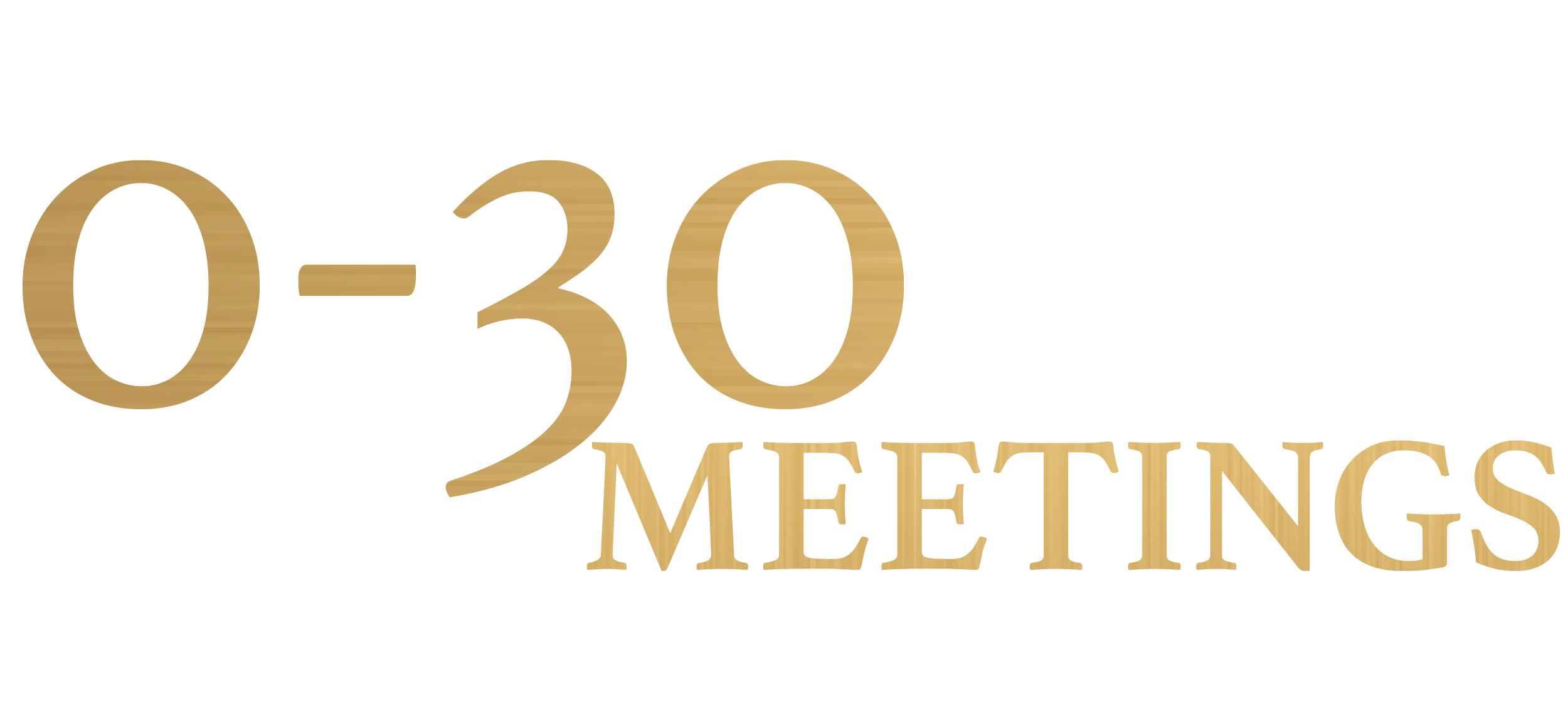 Text graphic reading 'From 0-30 Meetings Secured Monthly' with a black background and gold and white text.